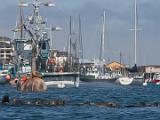 Monterey Bay 002